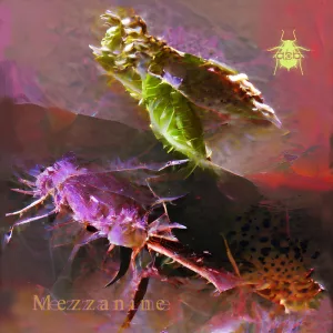 Mezzanine
