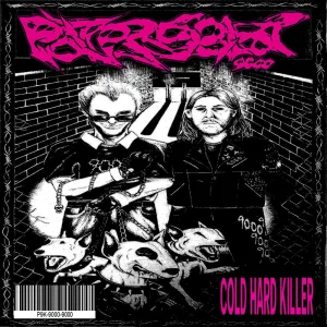 Cold Hard Killer