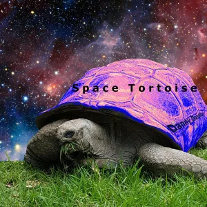 Space Tortoise