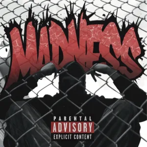 MADNESS (feat. Paragram)