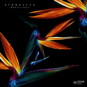 Games (Harrison Downes Remix)
