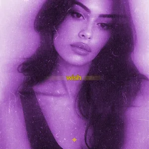 wish (slowed)