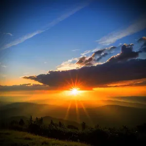 Dawn
