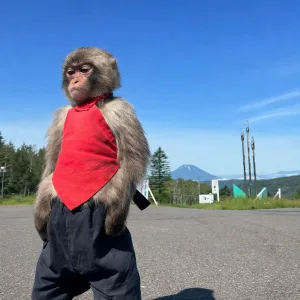 Di KéKé