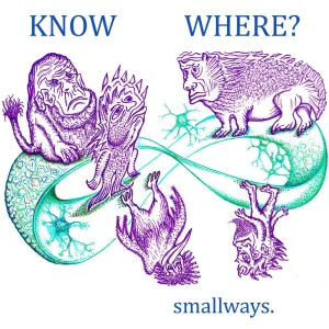 KNOW WHERE?