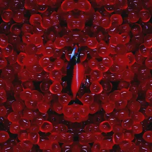 역주행 (Feat. Dok2 & 천재노창)