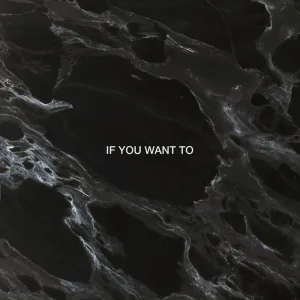 If You Want To (Remix)