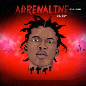 Adrenaline - Slowed + Reverb