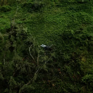 HIDEAWAY