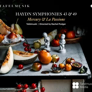 Symphony No. 43 in E-Flat Major, Hob. I:43 "Mercury": IV. Finale. Allegro