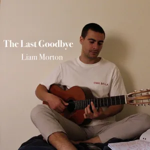 The Last Goodbye