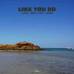 Like You Do