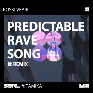 Predictable Rave Song (Roski Veair Remix)