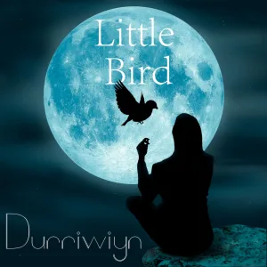 Little Bird