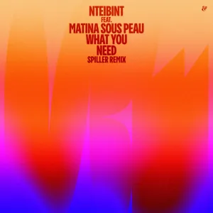 What You Need (Spiller Remix)