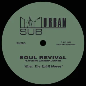 When The Spirit Moves (Soulfuric dub mix)