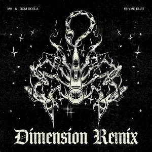 Rhyme Dust (Dimension Remix)