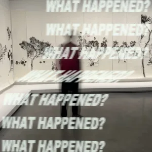 whathappened?