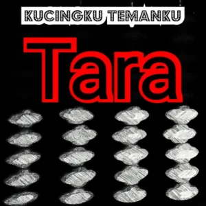Kucingku Temanku