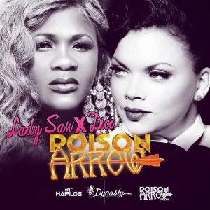 Poison Arrow (DJ)