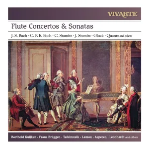 Concerto in E Minor for Flute, Strings and Basso Continuo: III. Allegro, non troppo presto
