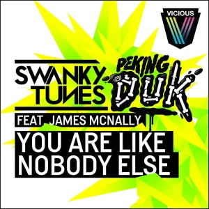You Are Like Nobody Else (Original Mix)