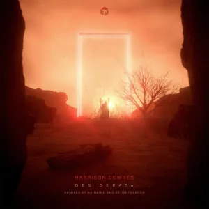 Desiderata (Stoertebeker Remix)\