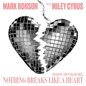 Nothing Breaks Like A Heart (Martin Solveig Remix)