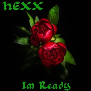 Im Ready