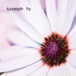 Fly