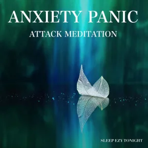 Anxiety Panic Attack Meditation