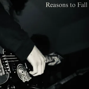 Reasons to Fall