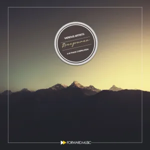 Never Enough (Robert Solva remix)