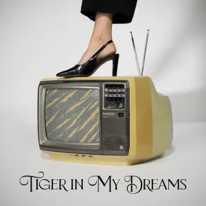 Tiger in My Dreams