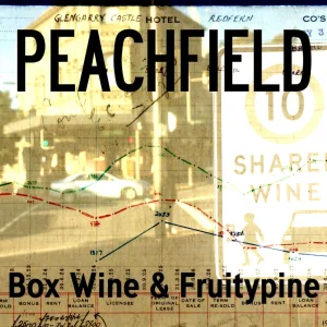 Box Wine & Fruitypine