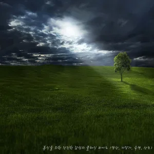 Nocturne No.2 In E Flat Major Op.9-2
