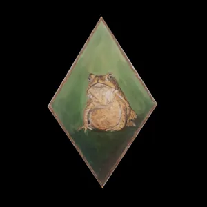 Toad