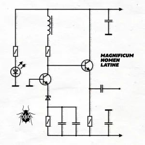 Magnificum Nomen Latine