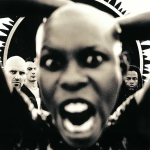 Album artwork for All I Want by Skunk Anansie