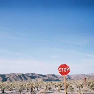Stay