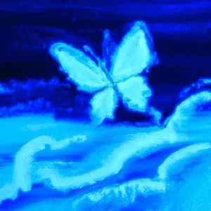 Butterfly above the sea