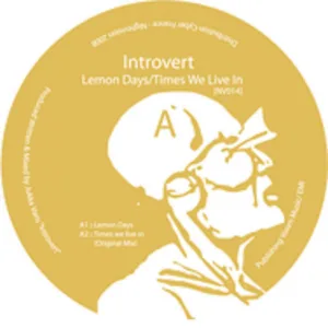 Times We Live In (Orignal Mix)