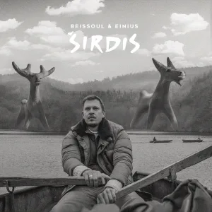 Širdis