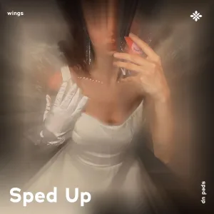 wings - sped up + reverb