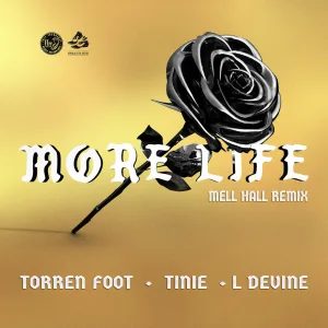 More Life (feat. Tinie Tempah & L Devine)[Mell Hall Remix]