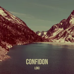 Confidon