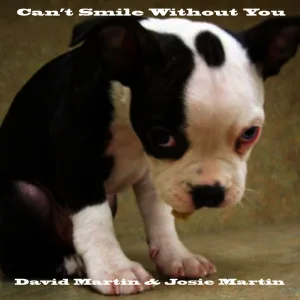 Can't Smile Without You