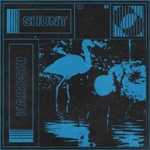 Shunt