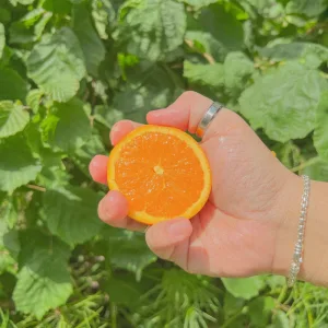 TANGERINE