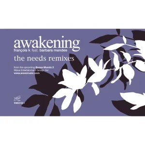 Awakening (feat. Barbara Mendes) (Needs Remix)